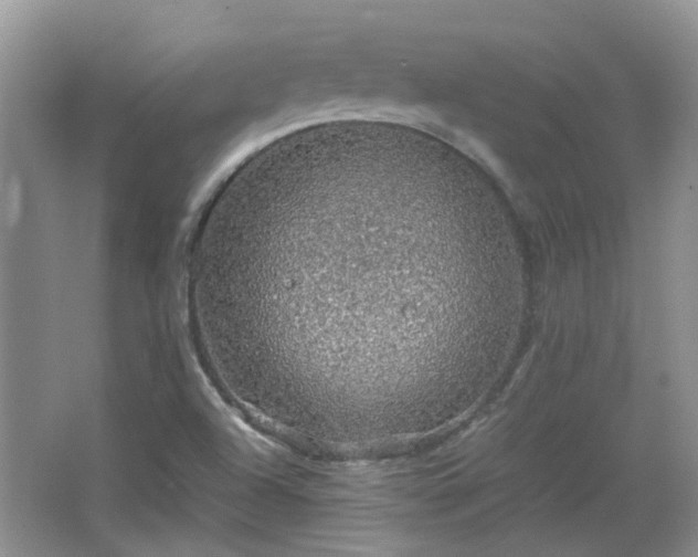 X0000067461504200604101119