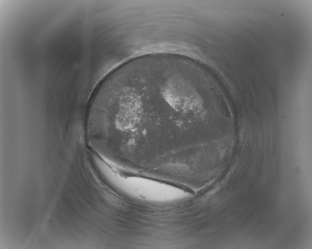 X0000067461505200604101119