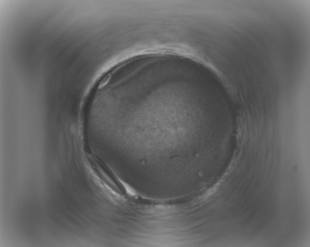 X0000067461506200604101119