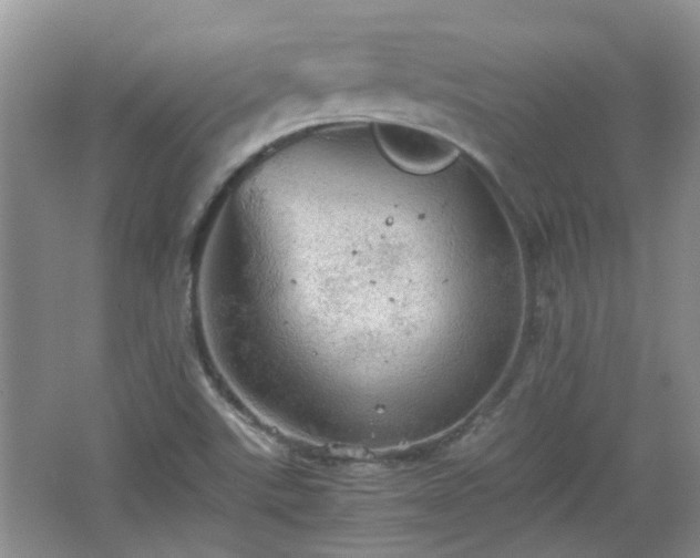 X0000067461507200604101119