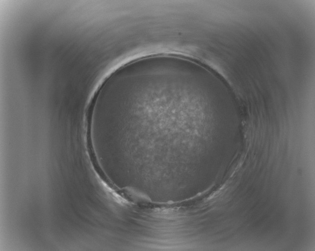 X0000067461508200604101119