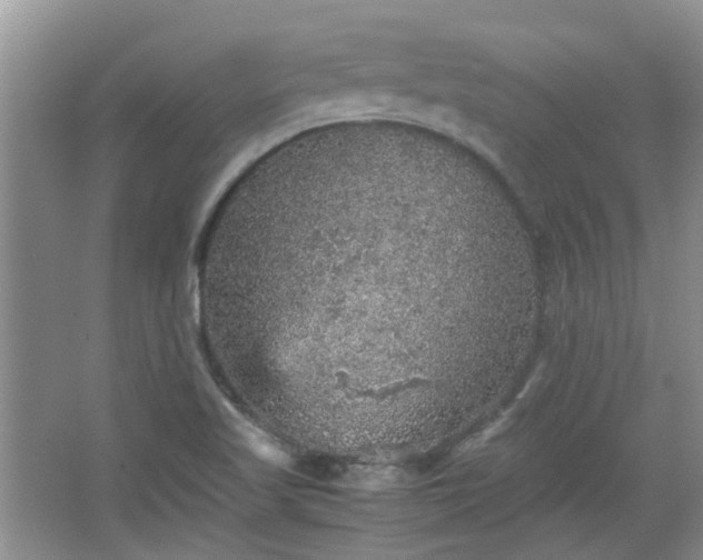 X0000067461509200604101119