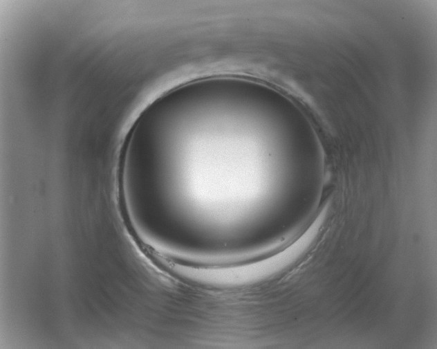 X0000067461512200604101119