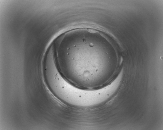 X0000067461514200604101119