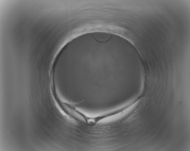 X0000067461515200604101119