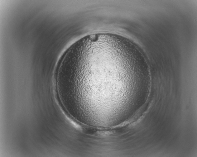 X0000067461517200604101119