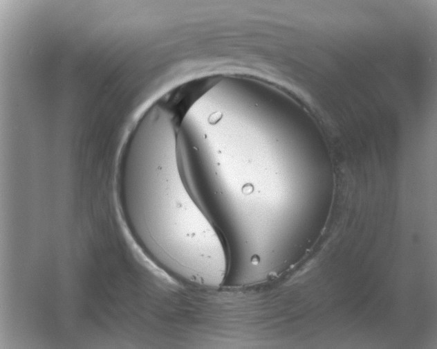 X0000067461518200604101119