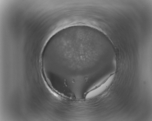 X0000067461519200604101119