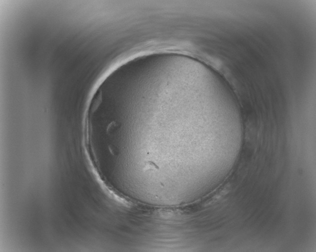 X0000067461520200604101120