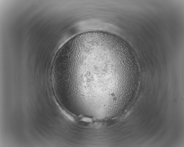 X0000067461521200604101120