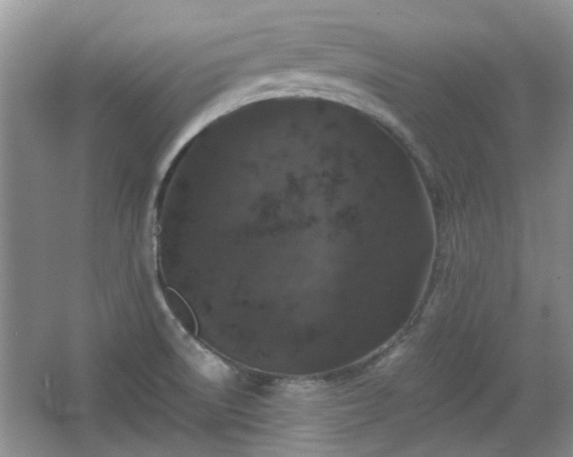 X0000067461522200604101120