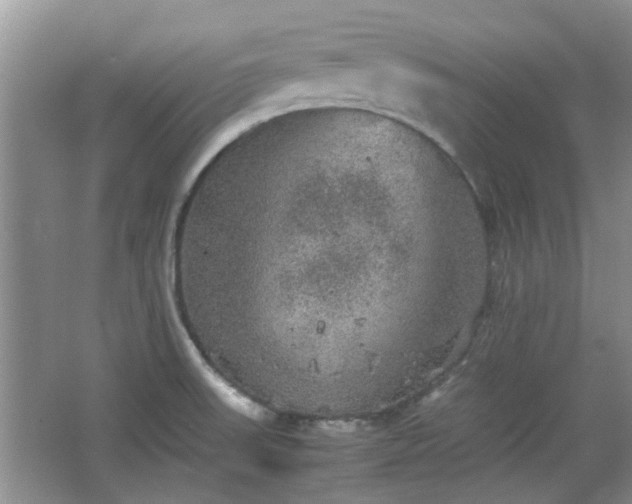 X0000067461523200604101120