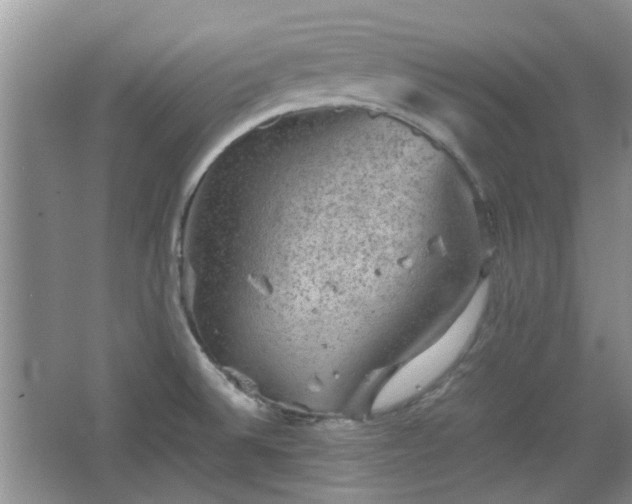 X0000067461524200604101120