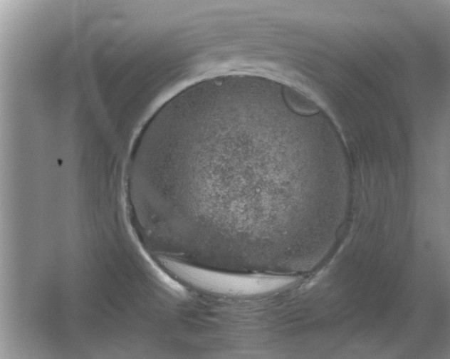 X0000067461525200604101120