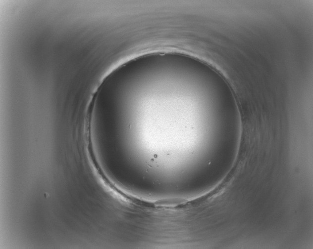 X0000067461526200604101120