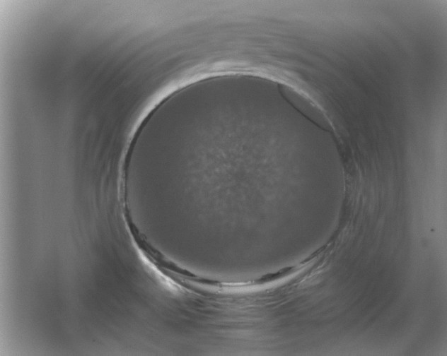 X0000067461527200604101120