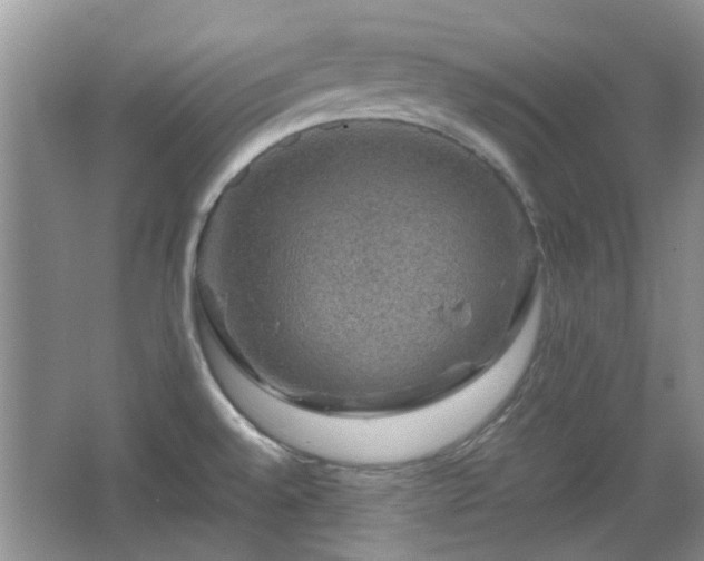 X0000067461528200604101120