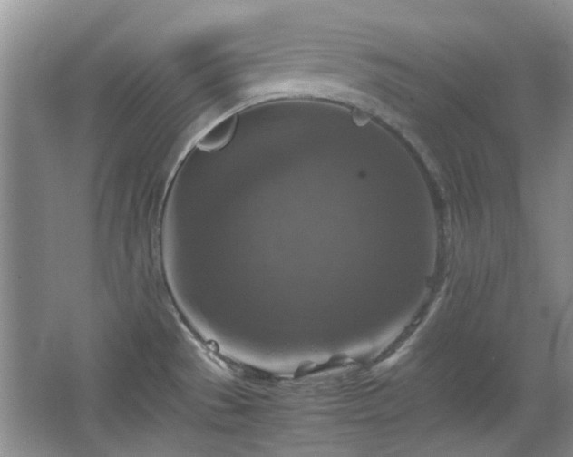 X0000067461529200604101120