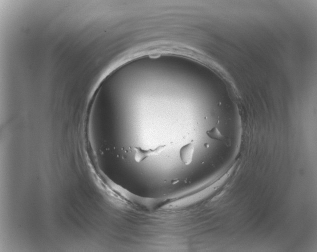 X0000067461530200604101120