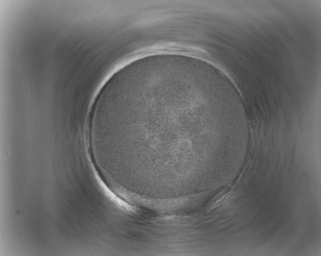 X0000067461531200604101120