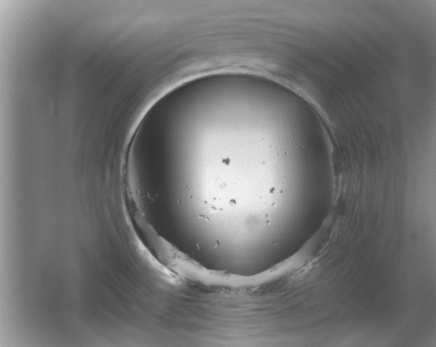 X0000067461532200604101120