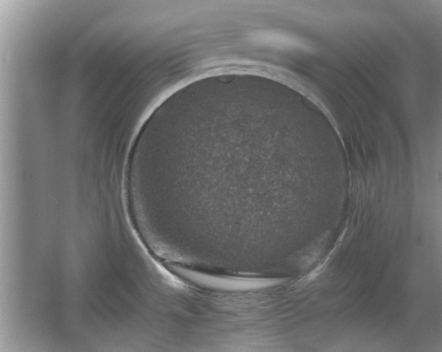 X0000067461533200604101120