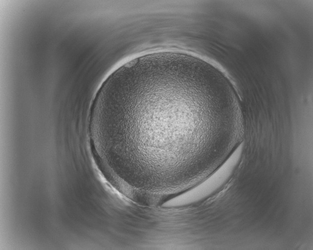 X0000067461534200604101120