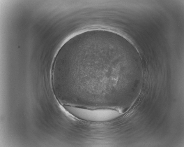 X0000067461535200604101120