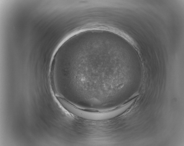 X0000067461536200604101120