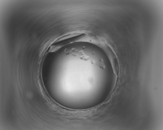 X0000067460001200604142336