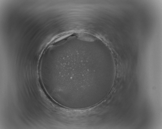 X0000067460002200604142336