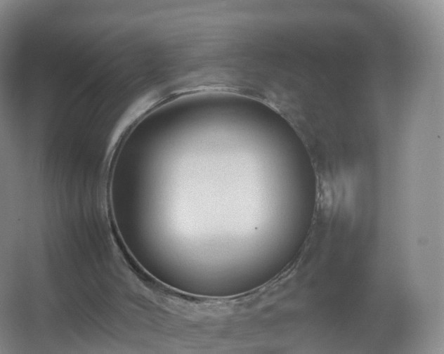 X0000067460004200604142336