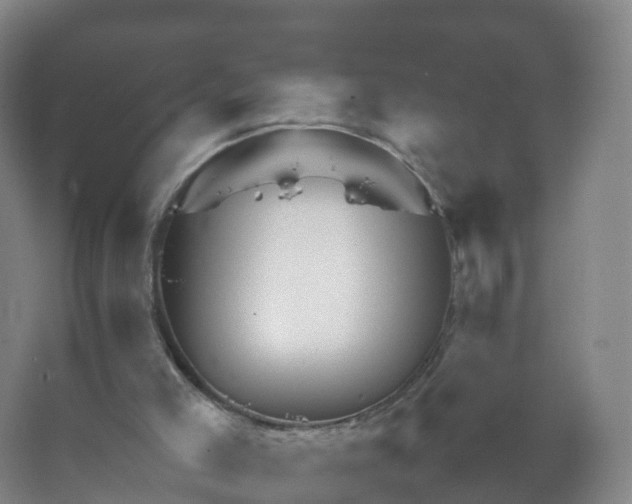 X0000067460005200604142336