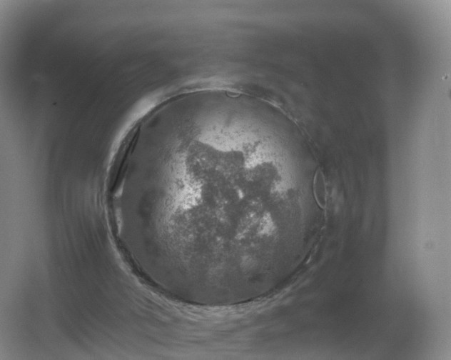 X0000067460006200604142336