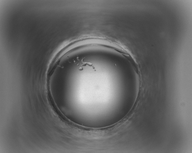 X0000067460008200604142336