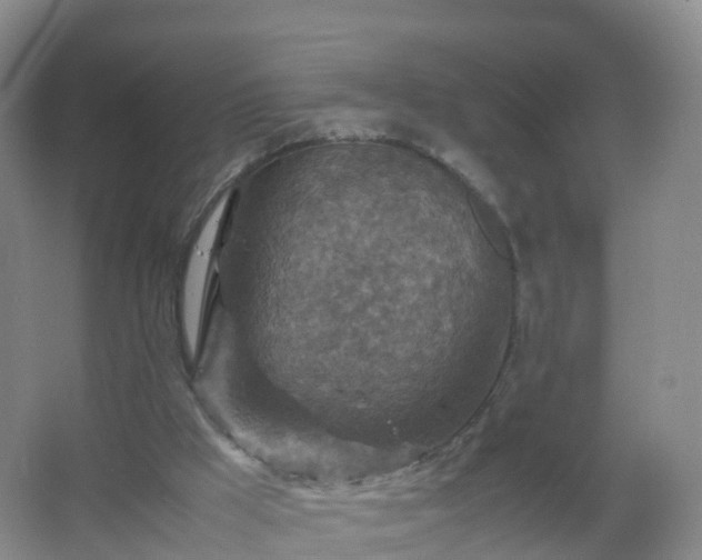 X0000067460009200604142336