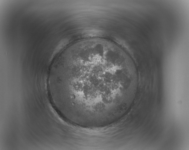 X0000067460010200604142336