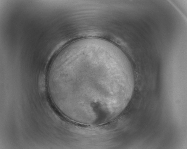 X0000067460012200604142336