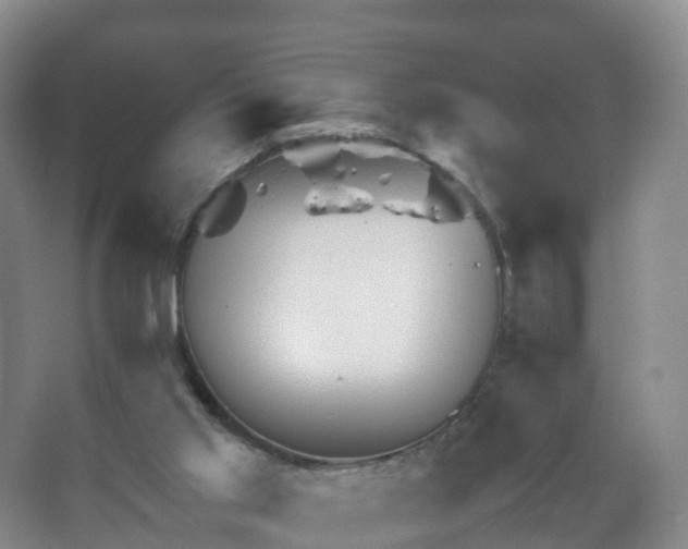 X0000067460013200604142336