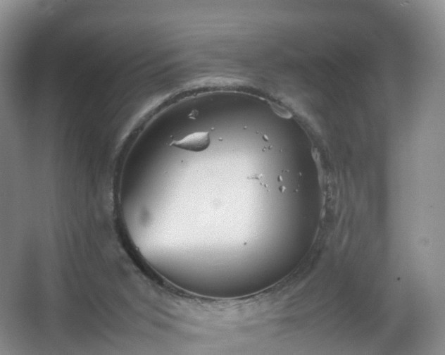 X0000067460015200604142336