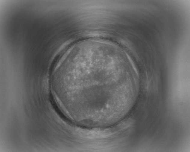 X0000067460016200604142336