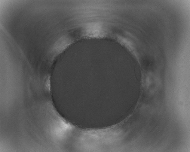 X0000067460017200604142336