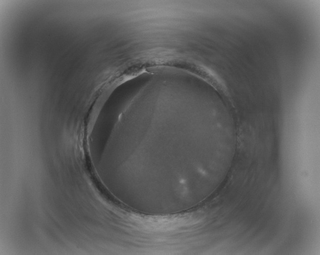 X0000067460018200604142336