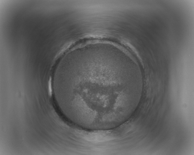 X0000067460020200604142336