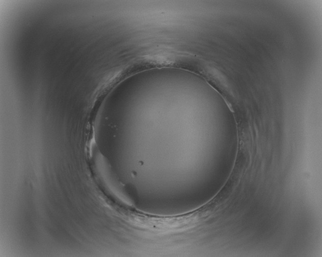 X0000067460023200604142336