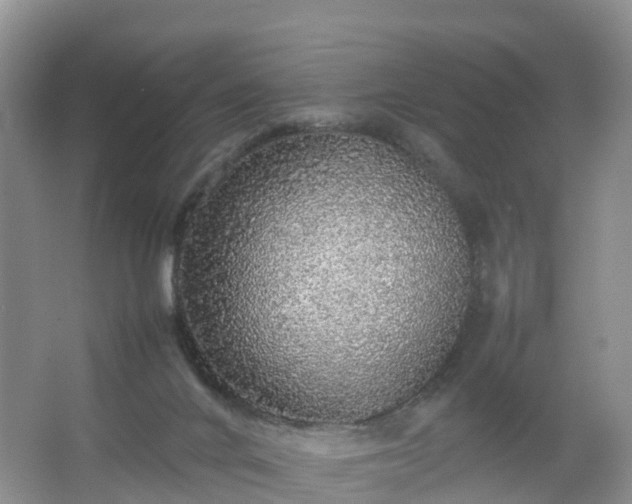 X0000067460024200604142336