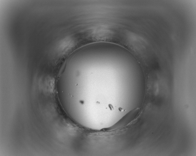 X0000067460025200604142336