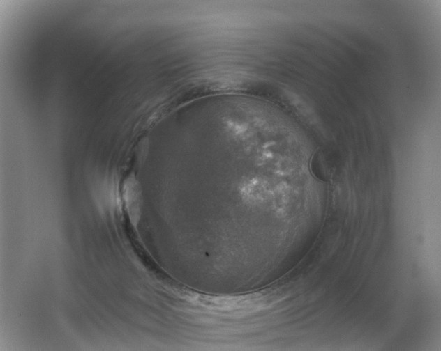 X0000067460026200604142336