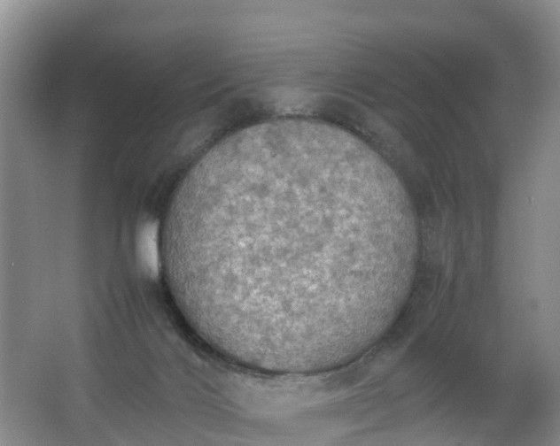 X0000067460028200604142336