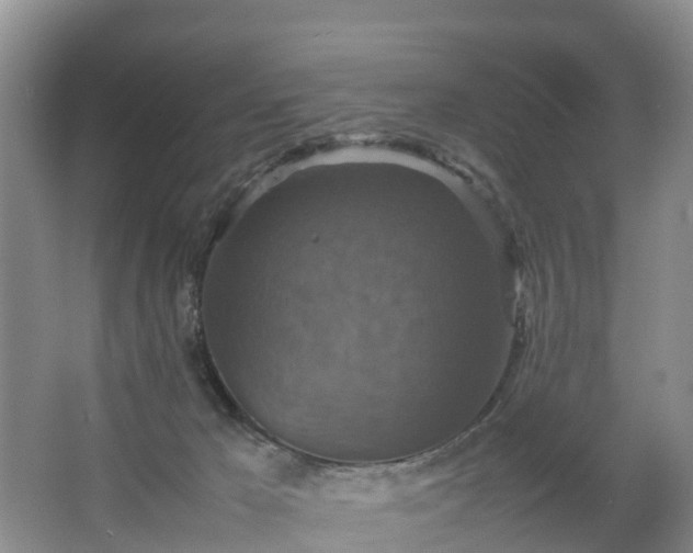 X0000067460029200604142336